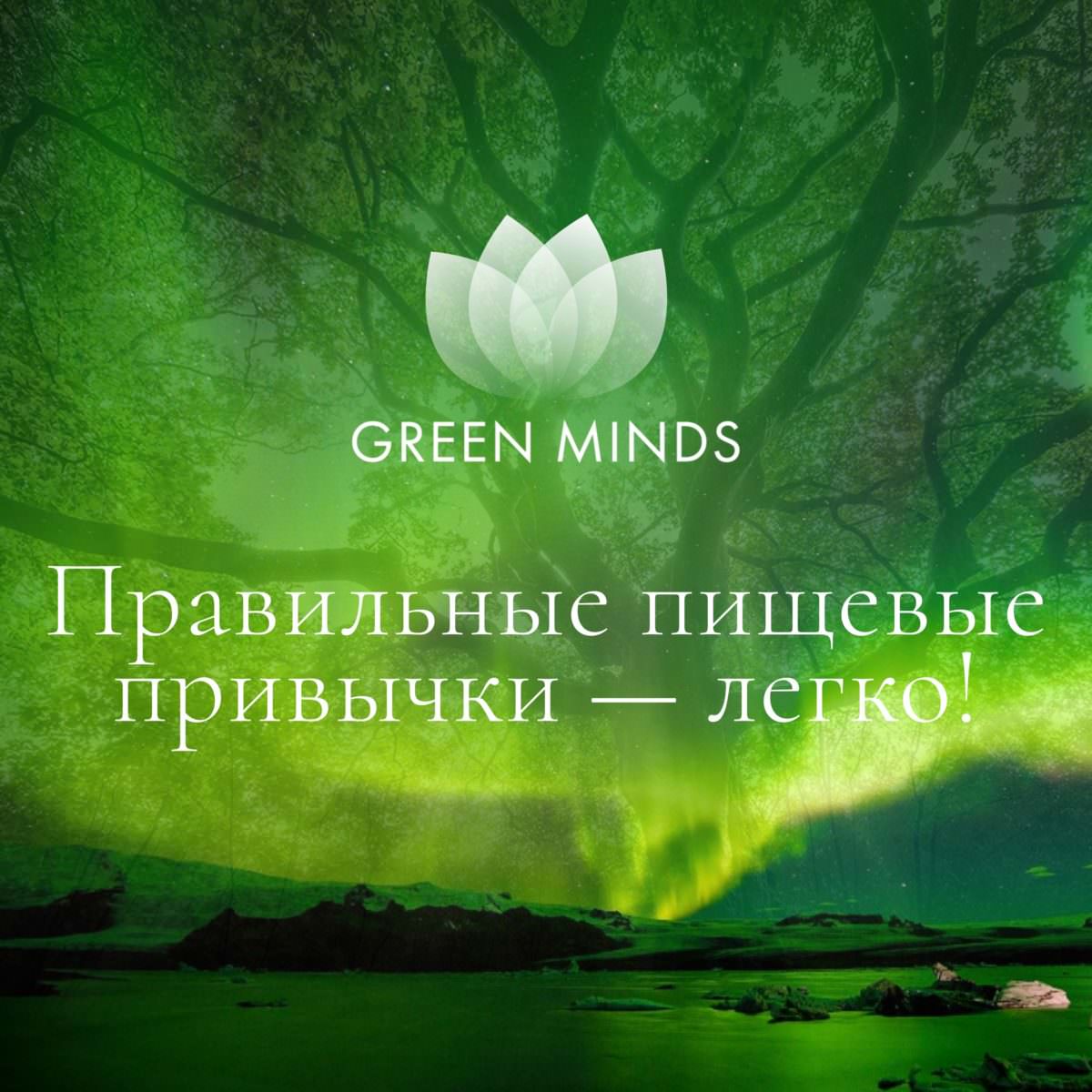 Нейромедитация GREEN MINDS «Правильные пищевые привычки — легко!» по цене  460 руб. - купить в Алексеевке ? Доставка ? Интернет-магазин «EcoGreenDom»